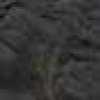 CHARCOAL CHARCOAL