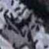 モノトーン系