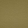 olive yellow