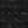 ブラック ブラック