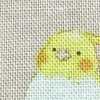 パウダーピンク インコ