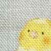 パウダーブルー インコ