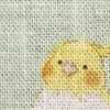 パウダーグリーン インコ