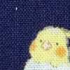 ネイビー インコ