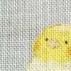 パウダーブルー インコ