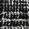 ブラック×ホワイト ブラック×ホワイト