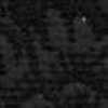 ブラック ブラック