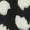 black black
