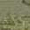 gray gray