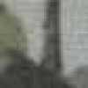 graytone