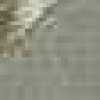 gray gray