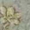 sage