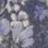 antique violet antique violet