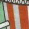 mint×orange mint×orange