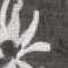 Charcoal Charcoal