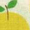 lemon lemon