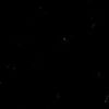ブラック ブラック