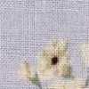 Floral×パープル Floral×パープル