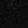ブラック ブラック