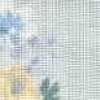 light blue light blue
