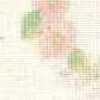 natural