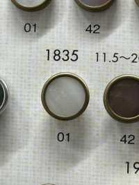 1835 上品 高級感 シンプル シャツ・ジャケット用 ボタン 大阪プラスチック工業(DAIYA BUTTON) サブ画像