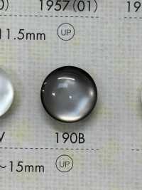 190B ポリエステル樹脂製 ボタン 大阪プラスチック工業(DAIYA BUTTON) サブ画像