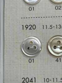 1920 DAIYA BUTTONS 3ツ穴 貝調ポリエステルボタン 大阪プラスチック工業(DAIYA BUTTON) サブ画像