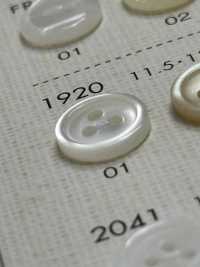 1920 DAIYA BUTTONS 3ツ穴 貝調ポリエステルボタン 大阪プラスチック工業(DAIYA BUTTON) サブ画像