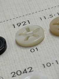 1921 DAIYA BUTTONS 5ツ穴 貝調ポリエステルボタン 大阪プラスチック工業(DAIYA BUTTON) サブ画像