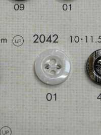 2042 DAIYA BUTTONS 貝調ポリエステルボタン 大阪プラスチック工業(DAIYA BUTTON) サブ画像