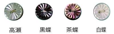 266 2つ穴 縁なし 貝ボタン