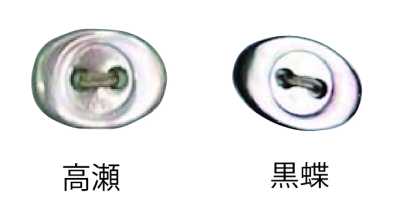 3400 ２つ穴 楕円形 貝ボタン
