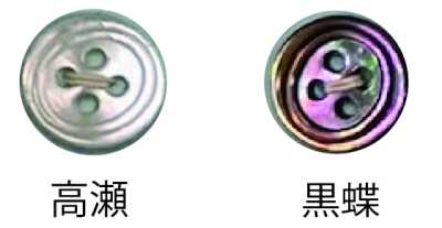 3500 4つ穴 縁あり 貝ボタン