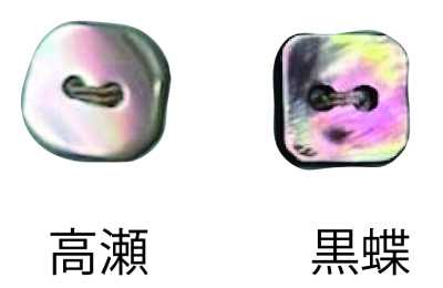 444 2つ穴 縁なし 貝ボタン