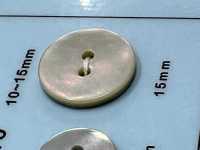 A110 2つ穴 貝ボタン 大阪プラスチック工業(DAIYA BUTTON) サブ画像