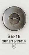 SB16 貝ボタン
