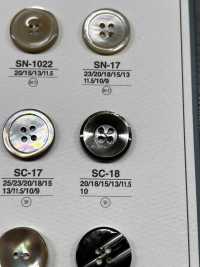 SC18 天然素材 貝製 ４つ穴つや有りボタン アイリス サブ画像