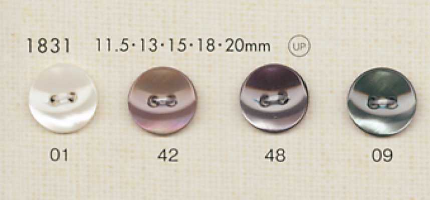 1831 DAIYA BUTTONS 貝調ポリエステルボタン