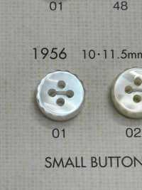 1956 DAIYA BUTTONS 貝調ポリエステルボタン 大阪プラスチック工業(DAIYA BUTTON) サブ画像