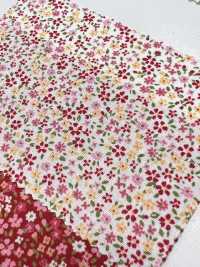6110 SEVENBERRY®  ブロード 小花柄[生地] VANCET サブ画像