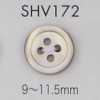 SHV172 4つ穴 フチあり 貝ボタン