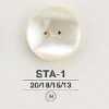 STA1 貝全般製 表穴2つ穴ボタン