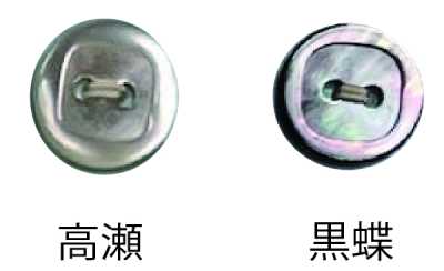 4302H 2つ穴 縁あり 貝ボタン