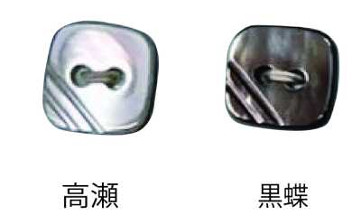 460 2つ穴 縁なし 貝ボタン