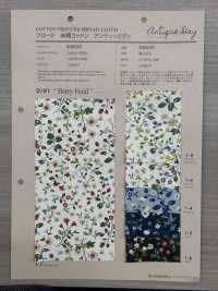 850525 SEVENBERRY® ブロード 未晒コットン アンティークディ ベリーフィールド[生地] VANCET サブ画像
