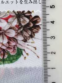 KDP1401-58-DD-783 綿 80 タイプライタープリント[生地] 宇仁繊維(小紋工房) サブ画像