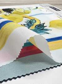 KDP2312SD-58-DD-241 フェミニッシュデシン広巾 インクジェットプリント[生地] 宇仁繊維(小紋工房) サブ画像