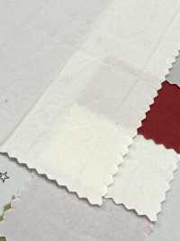 PSW7865 80/1超高密度タイプライター COTTON DYED PLAIN[生地] 古山 サブ画像