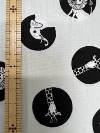 850567 ブロード ズードット[生地] VANCET サブ画像